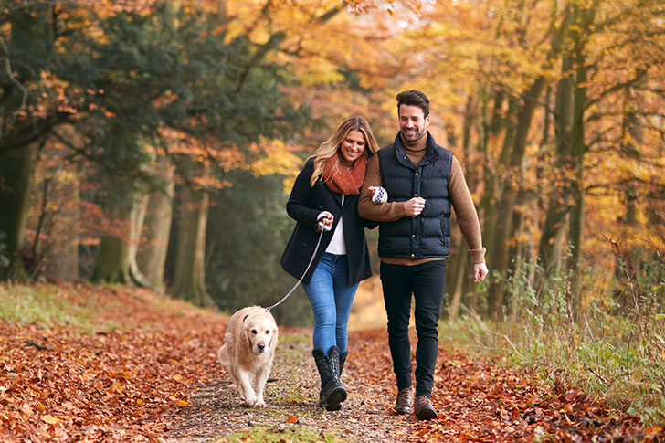 Couple walking the dog