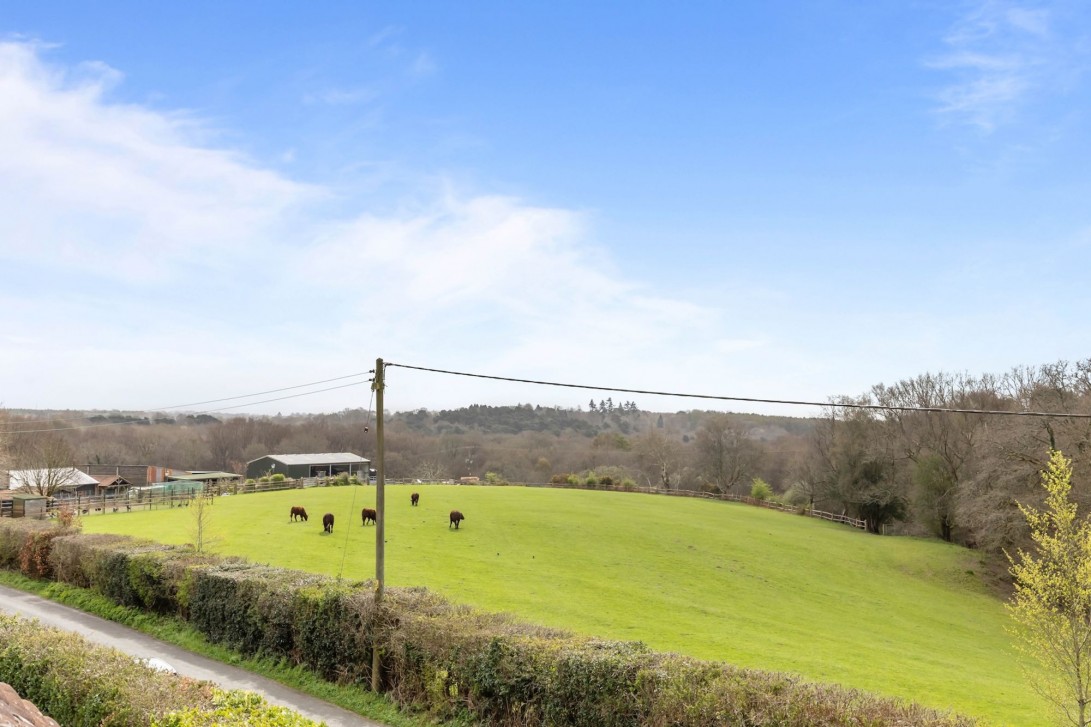 Photo of Forest View Blackhouse Road, Horsham