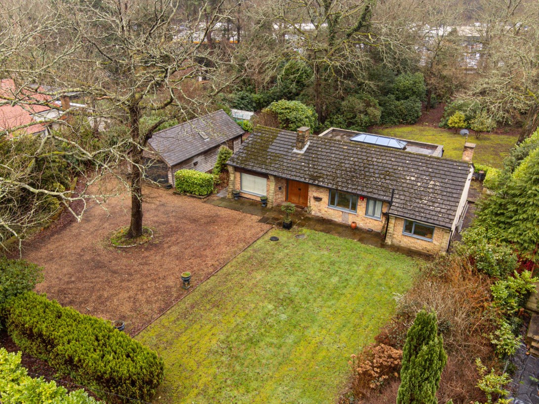 Photo of Blue Cedar Herons Lea, Crawley