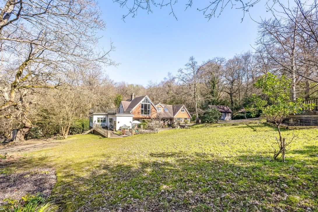 Photo of Trees Glenmore Road, Crowborough
