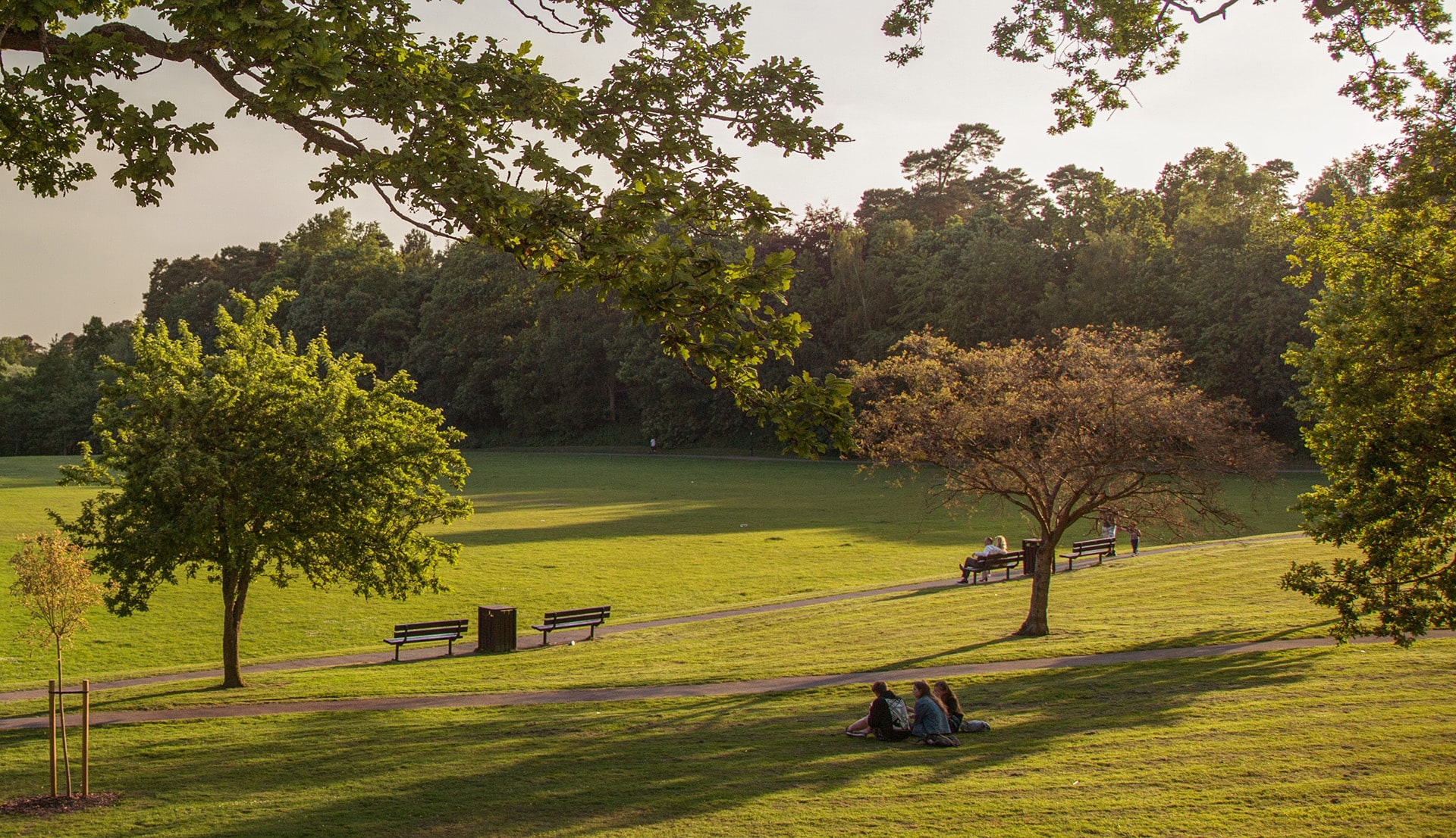 Haywards Heath Area Guide Mansell McTaggart Estate Agents