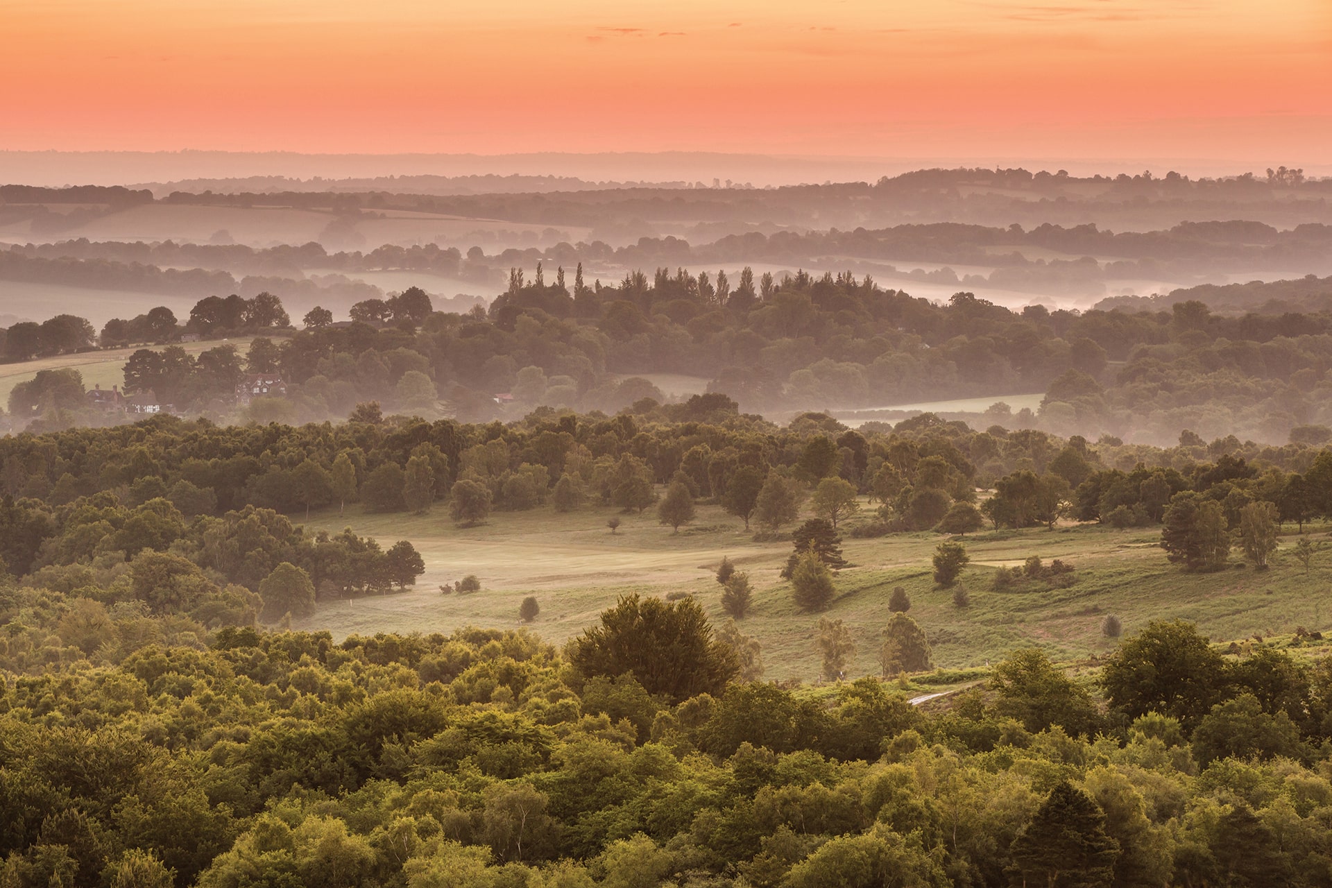 Forest Row Area Guide Mansell McTaggart Estate Agents